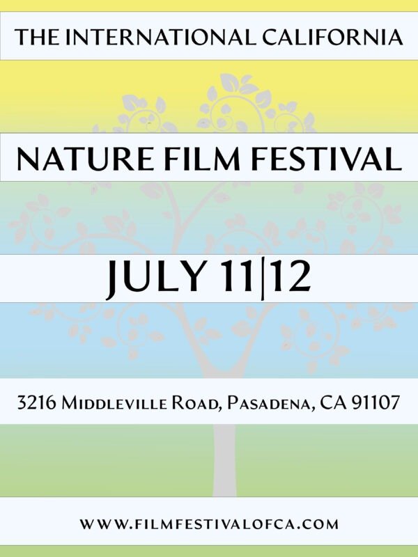 Film Festival Poster